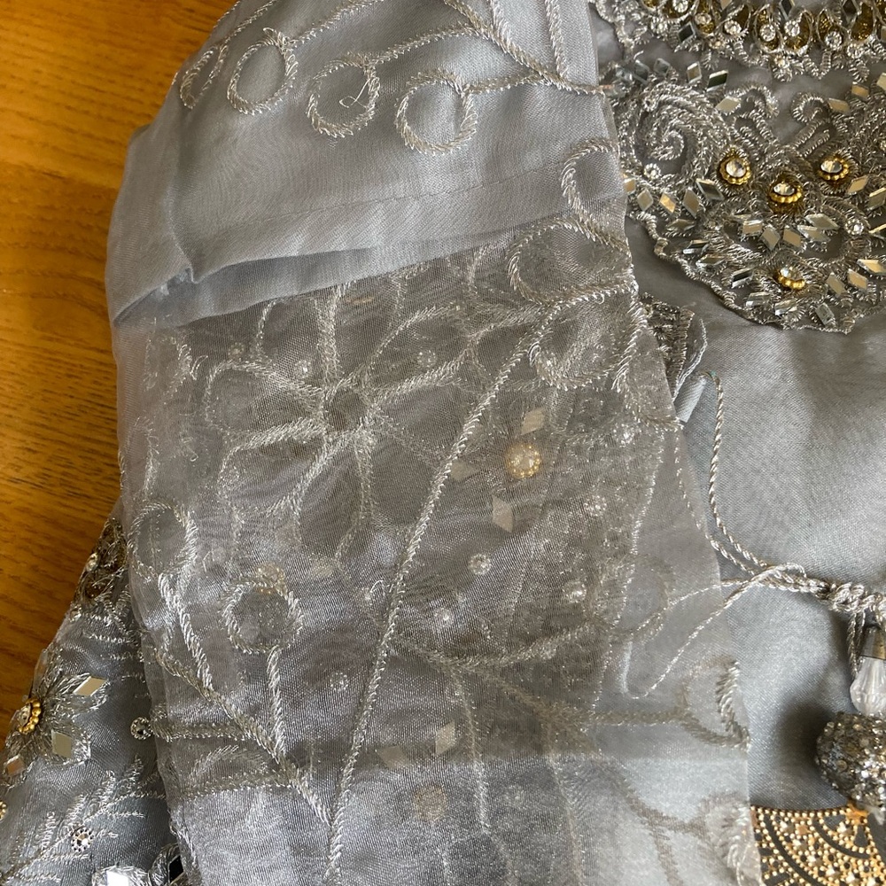 Elegant Embroidered Dress with Gold Accents desi style - Picture 3 of 4